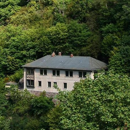 Villa Haus Am Berg à Bad Bertrich Extérieur photo