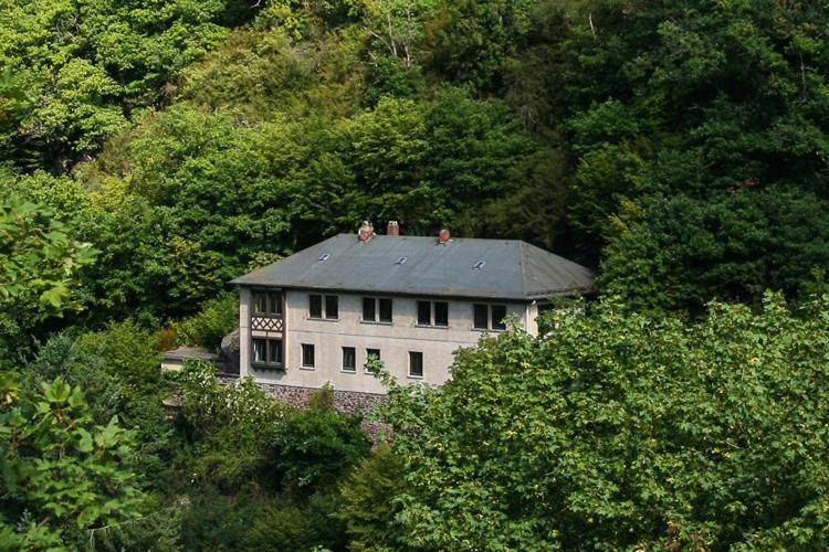 Villa Haus Am Berg à Bad Bertrich Extérieur photo