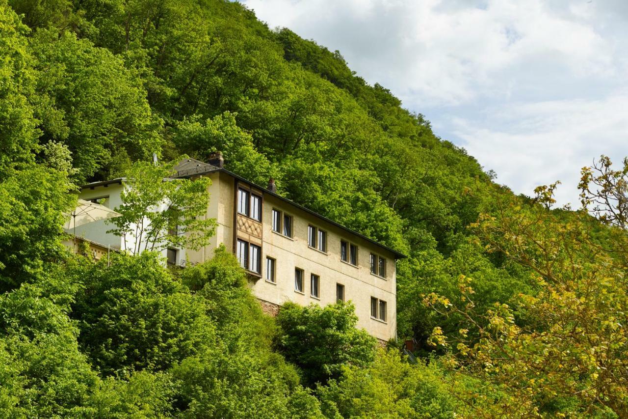 Villa Haus Am Berg à Bad Bertrich Extérieur photo